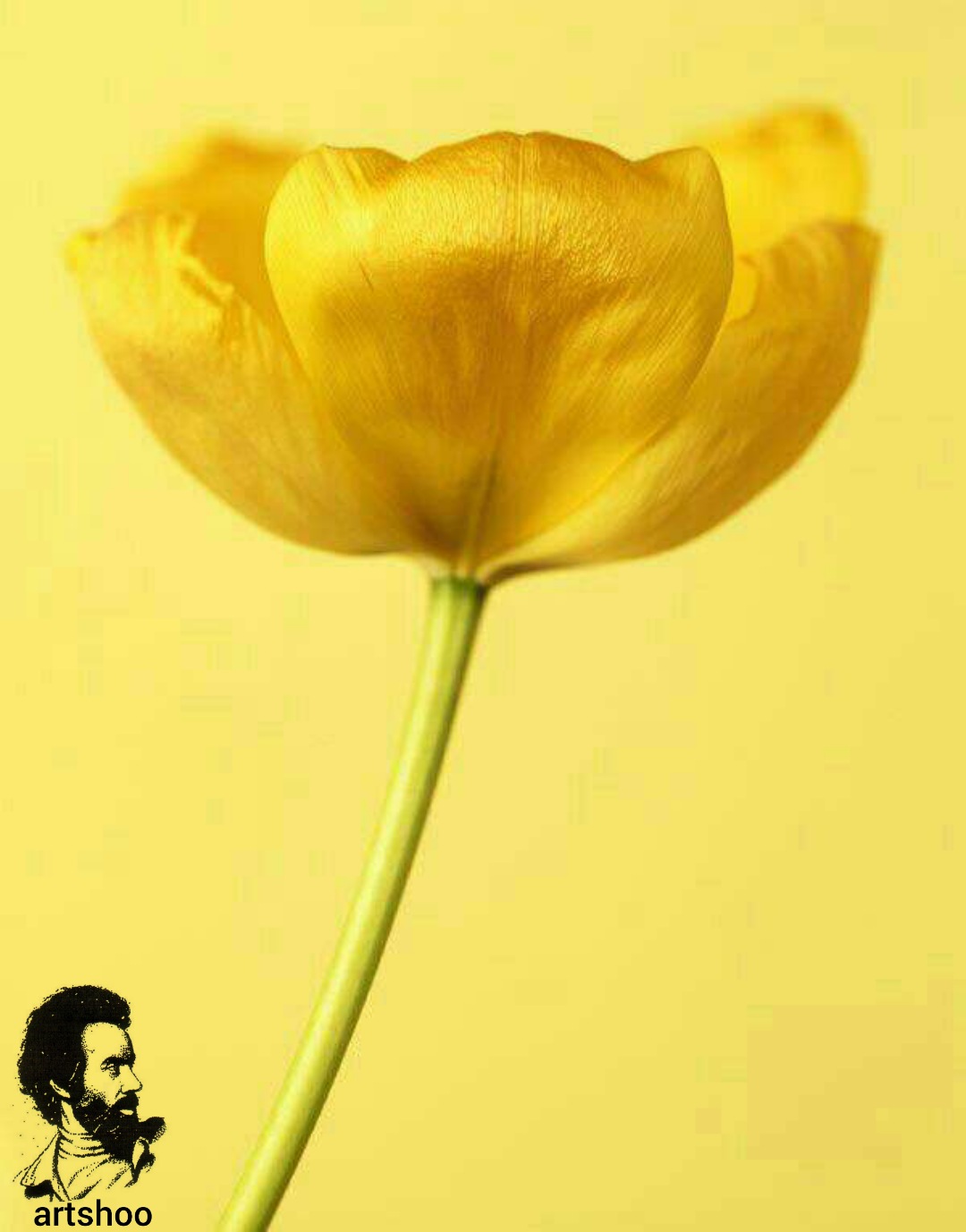 آموزش نقاشی رنگ روغن